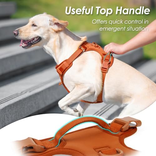 Sunraymascota No Pull Dog Harness - Image 4