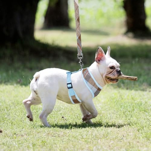 PUPTECK Small Dog Harness and Leash Set No Pull - Image 6