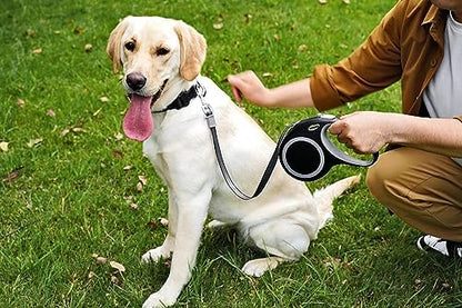 Retractable Dog Leash, 26 Feet Dog Leash - Image 7