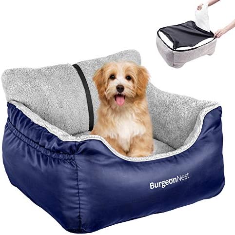 BurgeonNest Dog Car Seat for Small Dogs & Cats Under 25 lbs by Lifelongfriendsbelovedfamily