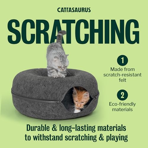 Cattasaurus Peekaboo Cat Cave Donut - Image 6