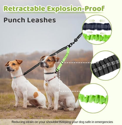 Double Dog Leash - Image 5