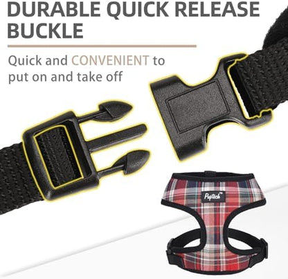 PUPTECK Small Dog Harness and Leash Set No Pull - Image 4