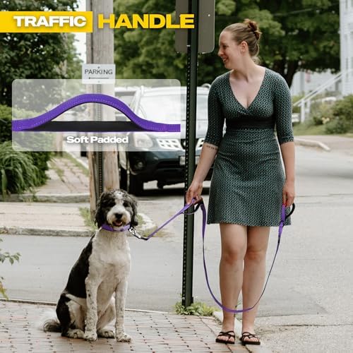 Fida Heavy Duty Dog Leash for Medium Large Dogs, 6 FT, Dual Padded Handles - Image 5
