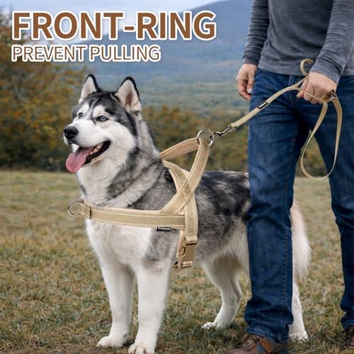 No Pull Dog Harness & 5FT Leash Set - Image 5