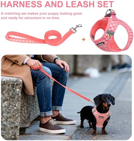 AIITLE Step in Small Dog Harness and Leash Set, Pet Vest, Watermelon XXS - Image 3