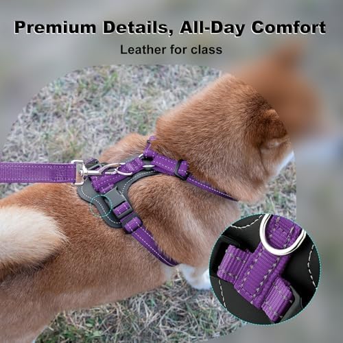 Plutus Pet No Pull Dog Harness - Image 2