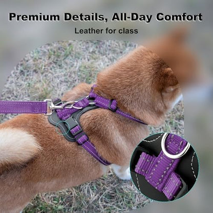 Plutus Pet No Pull Dog Harness - Image 2