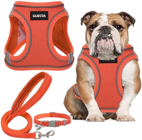 GAMUDA Small Pet Harness Collar and Leash Set, Step in No Chock No Pull Linen by GAMUDACollarsCollection