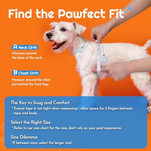 Eagloo Small Dog Harness and Leash Set, Step in Small Sized Puppy Pet Vest - Image 2