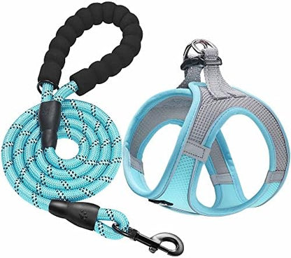 haapaw Dog Harness with Leash Set, No Pull Adjustable Reflective Step-in Puppy by haapaw