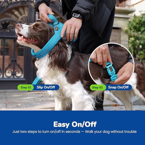 Didog No Pull Dog Harness for Large Dogs, Breathable Mesh Padded - Image 4