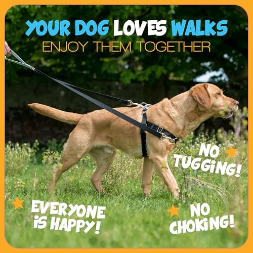 2 Hounds Design Freedom No Pull Dog Harness, 1 inch XXL - Image 5