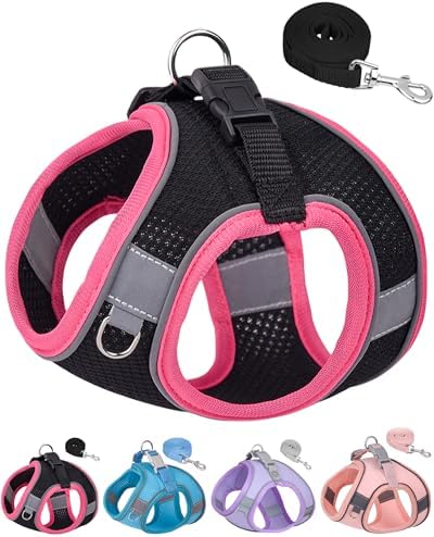 Dog Harness for Small Medium Sized Dog, Step in Puppy Harness and Leash Set by Aecllcea