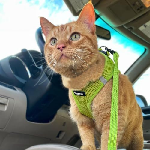 Voyager Step-in Air Cat Harness & Leash Set - Image 6