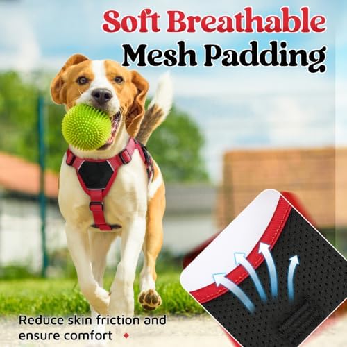 rabbitgoo Escape Proof Dog Harness - Image 5
