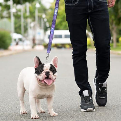 Pets First NASA Dog Leashes and Collars - Image 3