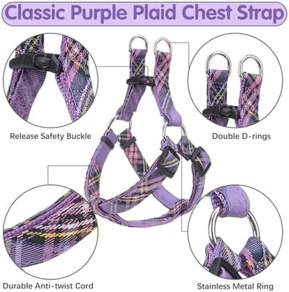 BINGPET No Pull Dog Harness Leash Collar Set, Adjustable Step-in Vest - Image 3