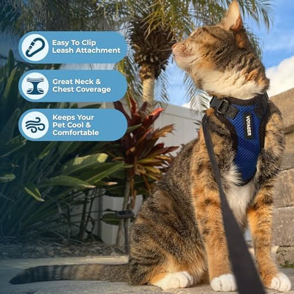 Voyager Step-in Lock Cat Harness & Leash Set - Image 5