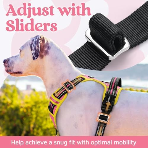 rabbitgoo Dog Harness Medium Sized, No Pull 3 Buckles Easy On & Off - Image 5