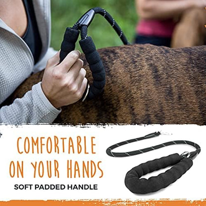 Mighty Paw Double Dog Leash - Image 4
