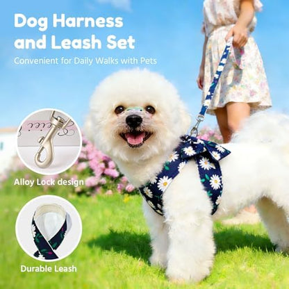 BAEJMJK Dog Harness and Leash Set - Image 7