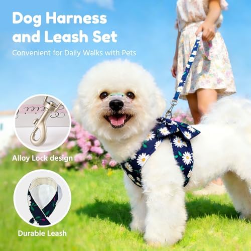 BAEJMJK Dog Harness and Leash Set - Image 5