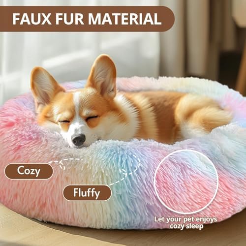 JOLLYVOGUE Calming Dog Bed for Small Dogs - Image 2