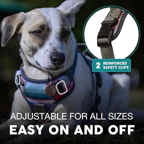 Embark No Pull Dog Harness, Reflective Adjustable Training Vest, No Choke - Image 3