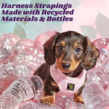 EcoBark Small Dog Harness, Luxury Soft Step in Mesh Vest, Baby Pink - Image 4