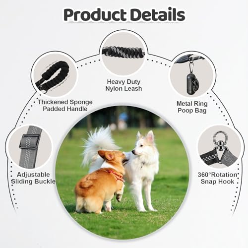Double Dog Leash - Image 3