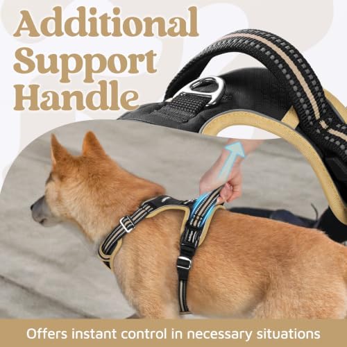 rabbitgoo Dog Harness Small Sized, No Pull 3 Buckles Easy On & Off - Image 5