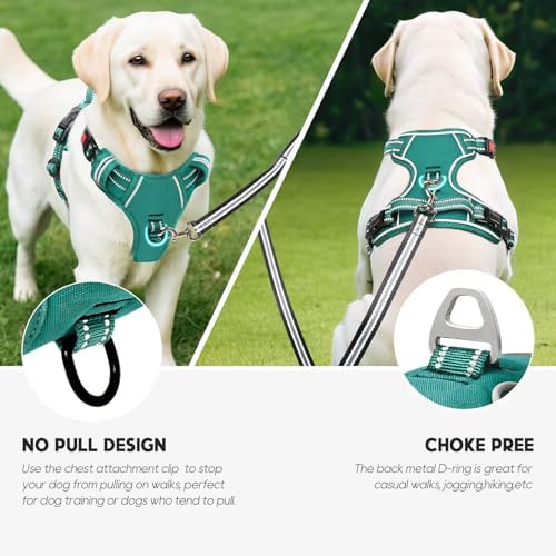 Timos Small Dog Harness, No Pull No Choke, Easy On & Off, Grass Green - Image 5