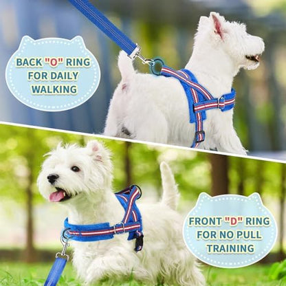 SlowTon No Pull Small Dog Harness and Leash Set - Image 4