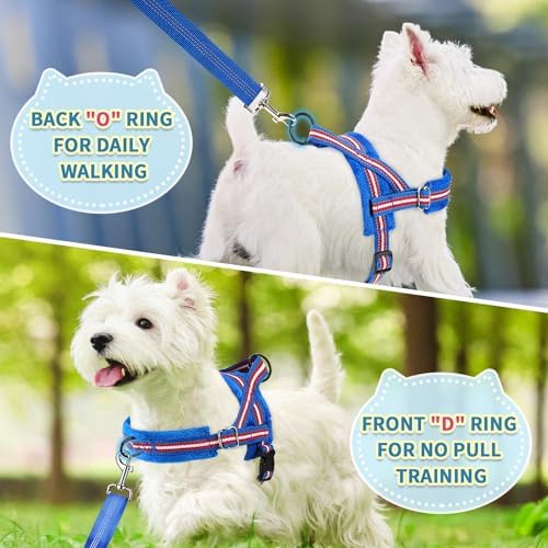 SlowTon No Pull Small Dog Harness and Leash Set - Image 4