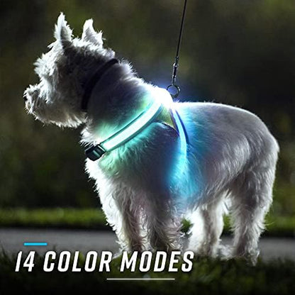 noxgear LightHound Light Up Reflective Dog Harness - Image 4