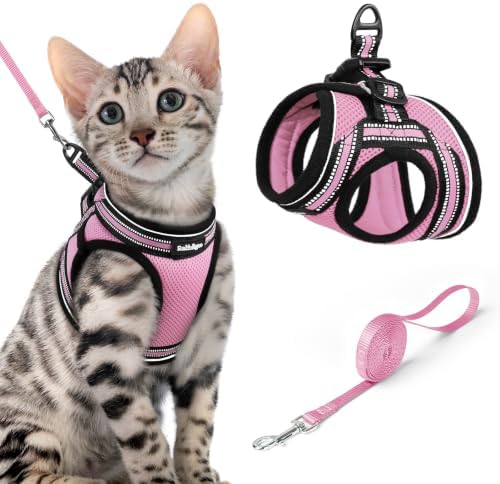 rabbitgoo Cat Harness and Leash Set, Step-in Soft Vest by rabbitgoo