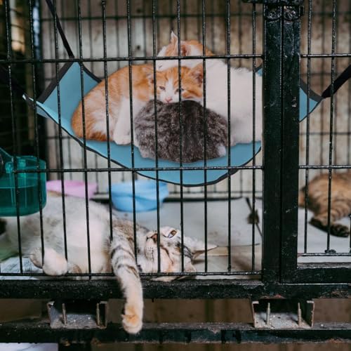 Cat Hammock for Cage Hanging，Breathable Coolness Hammock Bed for cat Small - Image 4