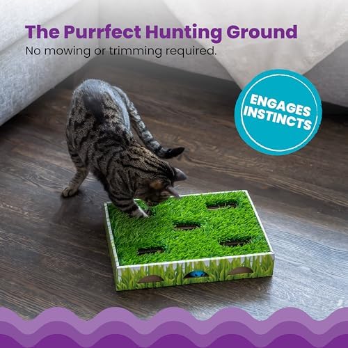 Catstages Grass Patch Hunting Box Cat Toy, Faux Grass & 3 Balls - Image 4