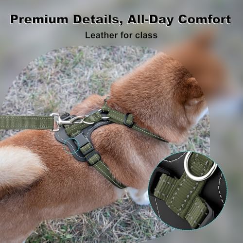 Plutus Pet No Pull Dog Harness - Image 2