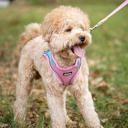 AIITLE Medium Dog Harness and Leash Set, Step-in Puppy Pet Vest - Image 2