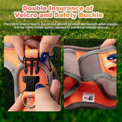Dog Harness Medium Sized Dogs, Puppy Harness and Leash Set - Image 2