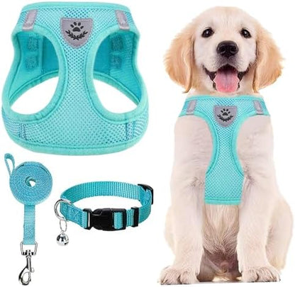 PUPTECK Dog Harness, Collar and Leash Set No Pull by PUPTECK