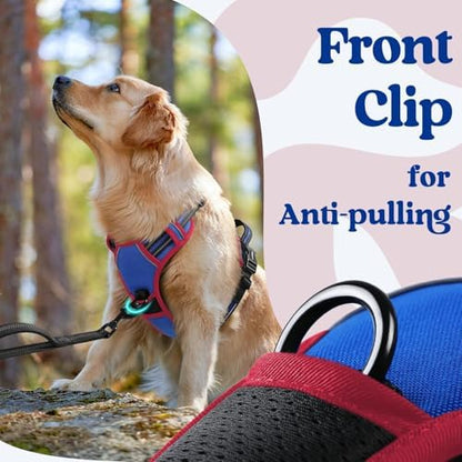 rabbitgoo Dog Harness for Large, Updated Easy On & Off - Image 6