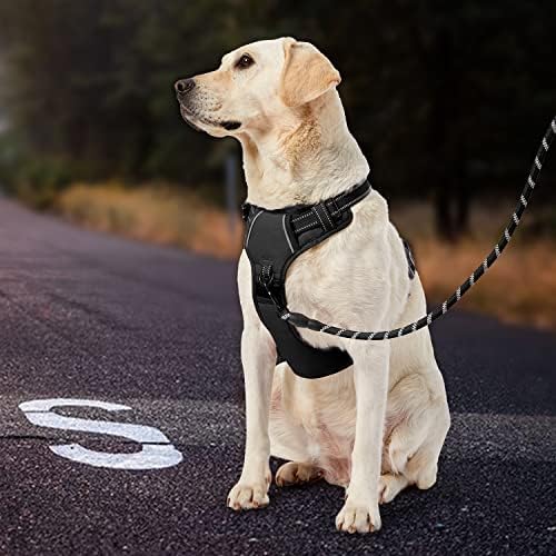 IVY&LANE No Pull Dog Harness for Medium Dogs, Reflective Dog Vest Harness - Image 6