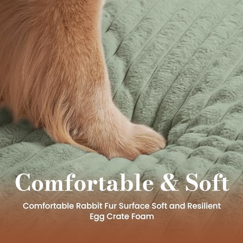 Medium Dog Bed Orthopedic Foam - Image 4