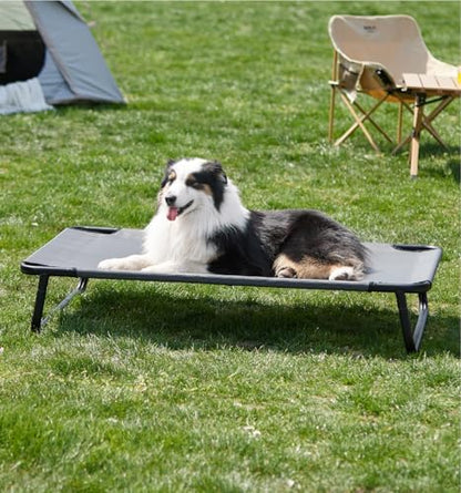 Made4Pets Outdoor Elevated Dog Bed by Made4Pets