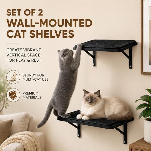 Cat Wall Shelves Set of 2 - Image 2