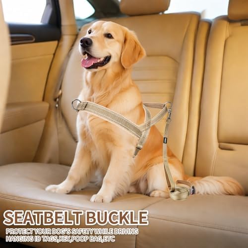 No Pull Dog Harness & 5FT Leash Set - Image 6