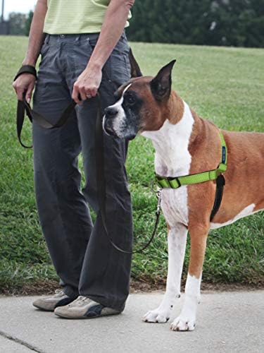 PetSafe Deluxe Easy Walk No Pull Dog Harness, Apple Green, Medium/Large - Image 2
